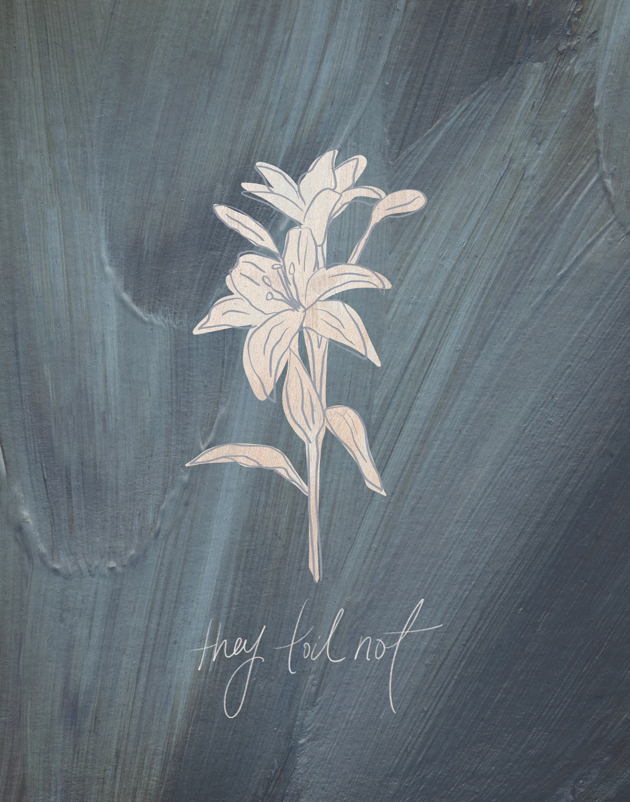 Consider the Lilies on Blue, the full artwork: a pale blush lily on a single stem drawn over slate blue and grey brushstrokes, with "they toil not" handwritten beneath it.