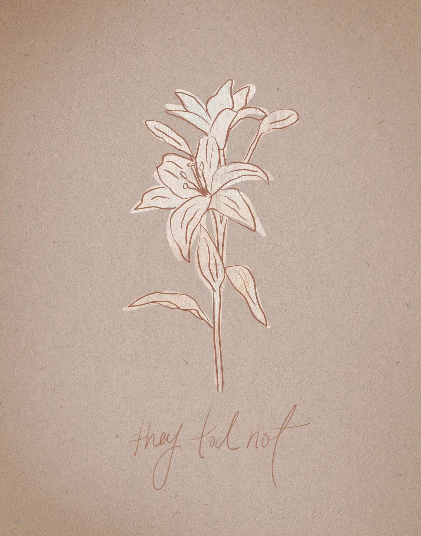 Consider the Lilies on Paper, the full artwork: a cream lily on a single stem outlined in rust on speckled kraft-brown paper, with "they toil not" handwritten beneath it.