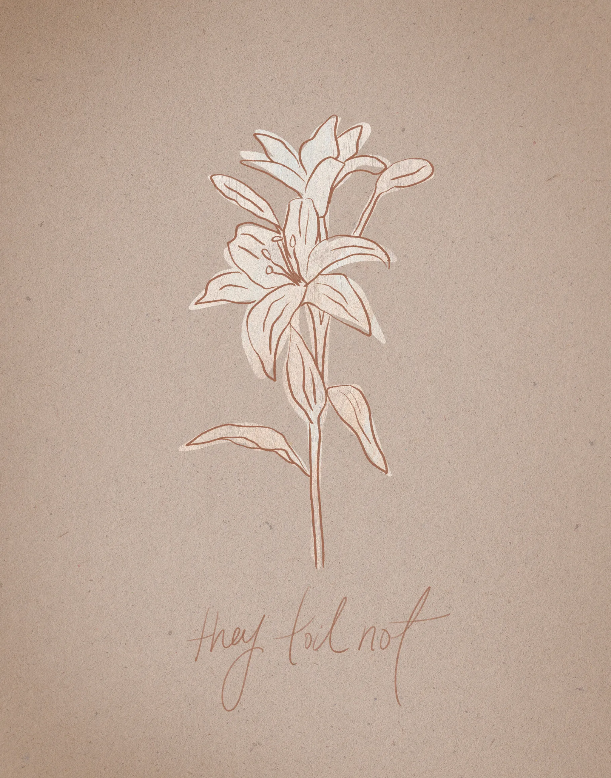 Consider the Lilies on Paper, the full artwork: a cream lily on a single stem outlined in rust on speckled kraft-brown paper, with "they toil not" handwritten beneath it.