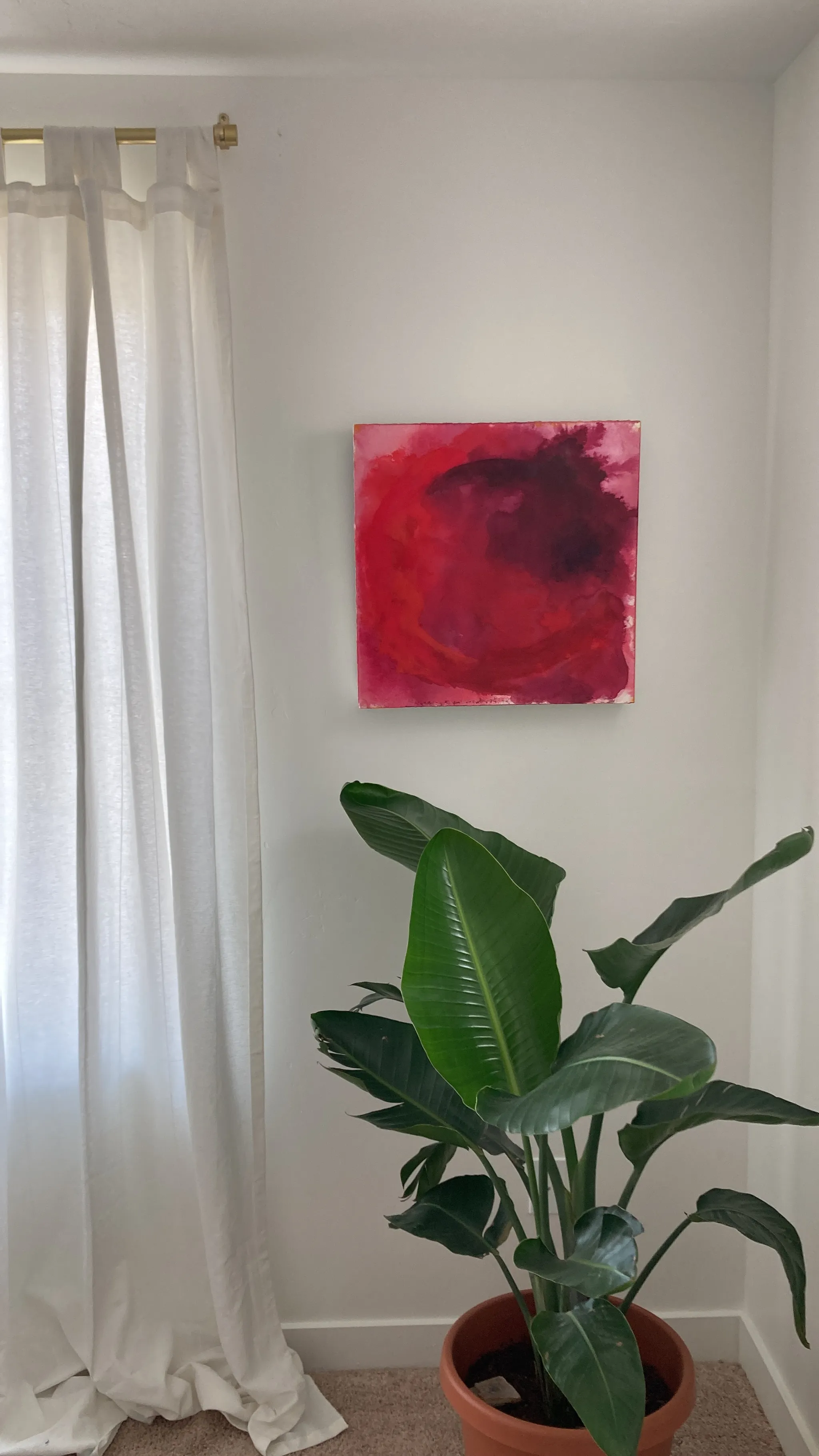 Embrace hanging on a white wall beside a sheer white curtain, above a potted bird of paradise.