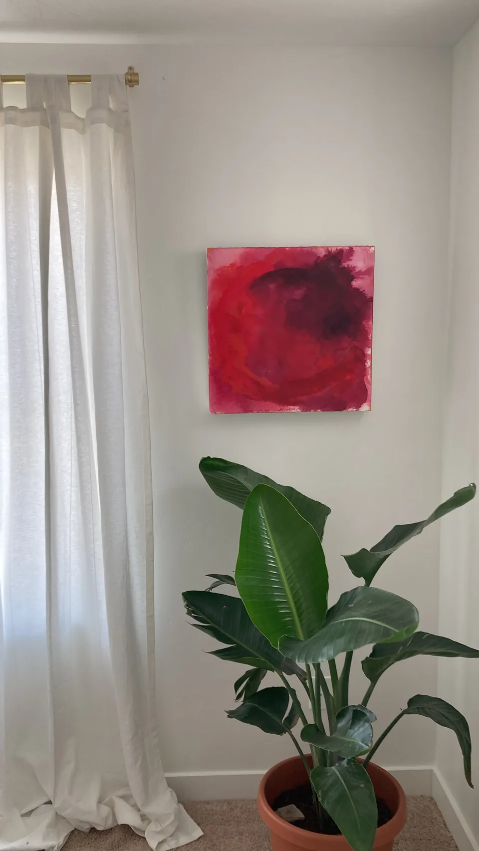 Embrace hanging on a white wall beside a sheer white curtain, above a potted bird of paradise.