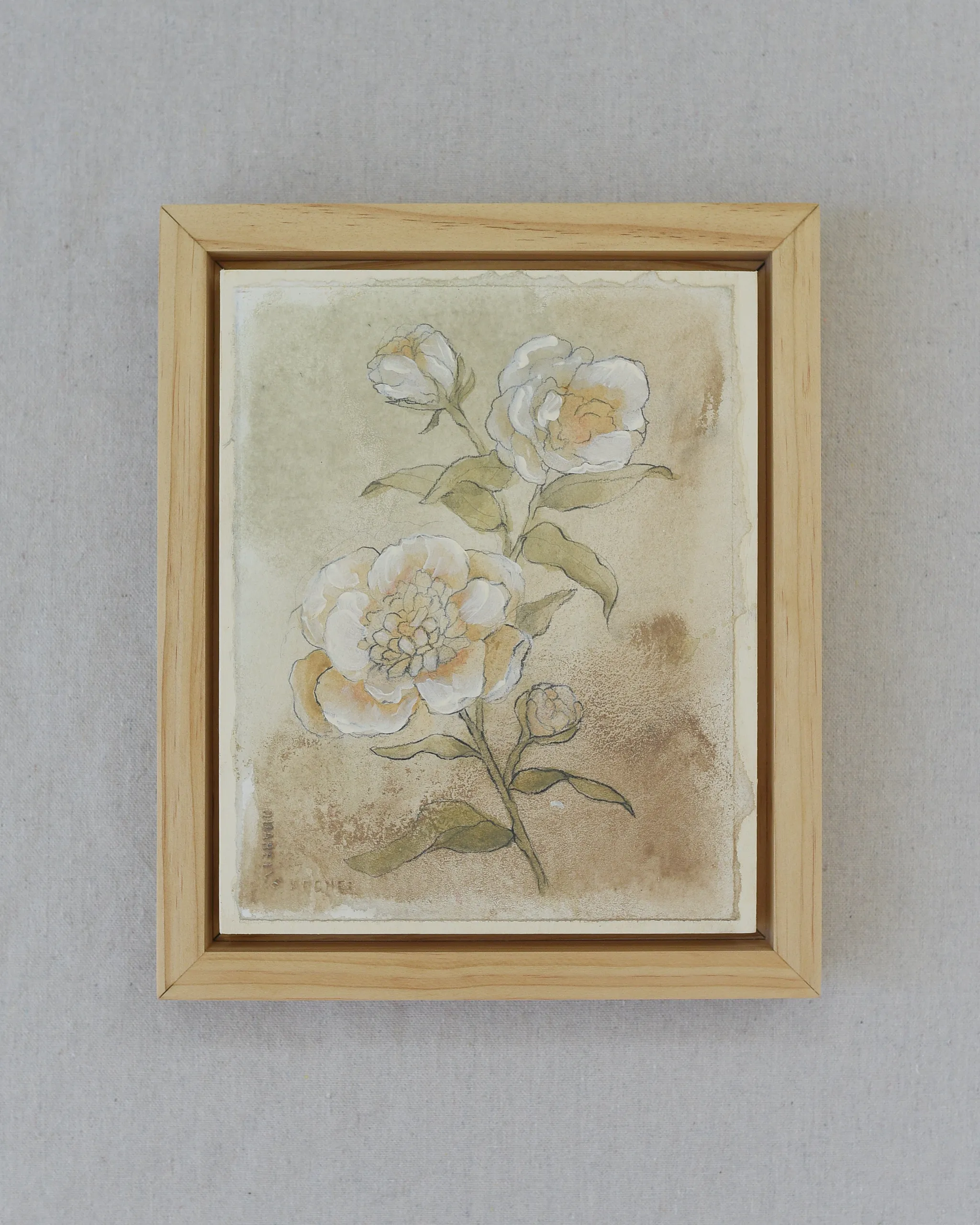 This earthy-toned sketch of peonies and roses captures simplicity and elegance, with soft taupes, light greens, and whites.