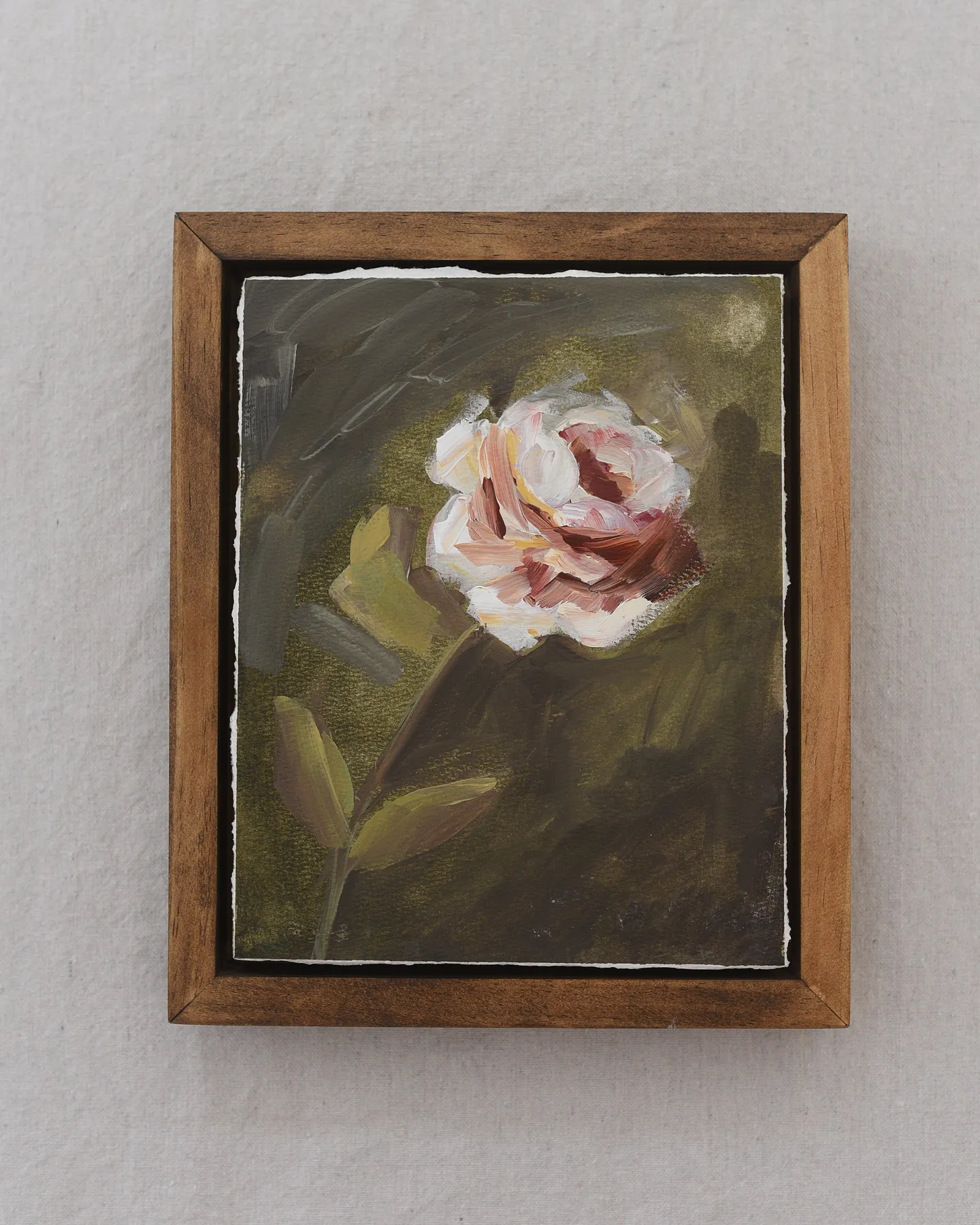 A delicate white and pink flower stands against a deep green background, bathed in timeless light and shadow.