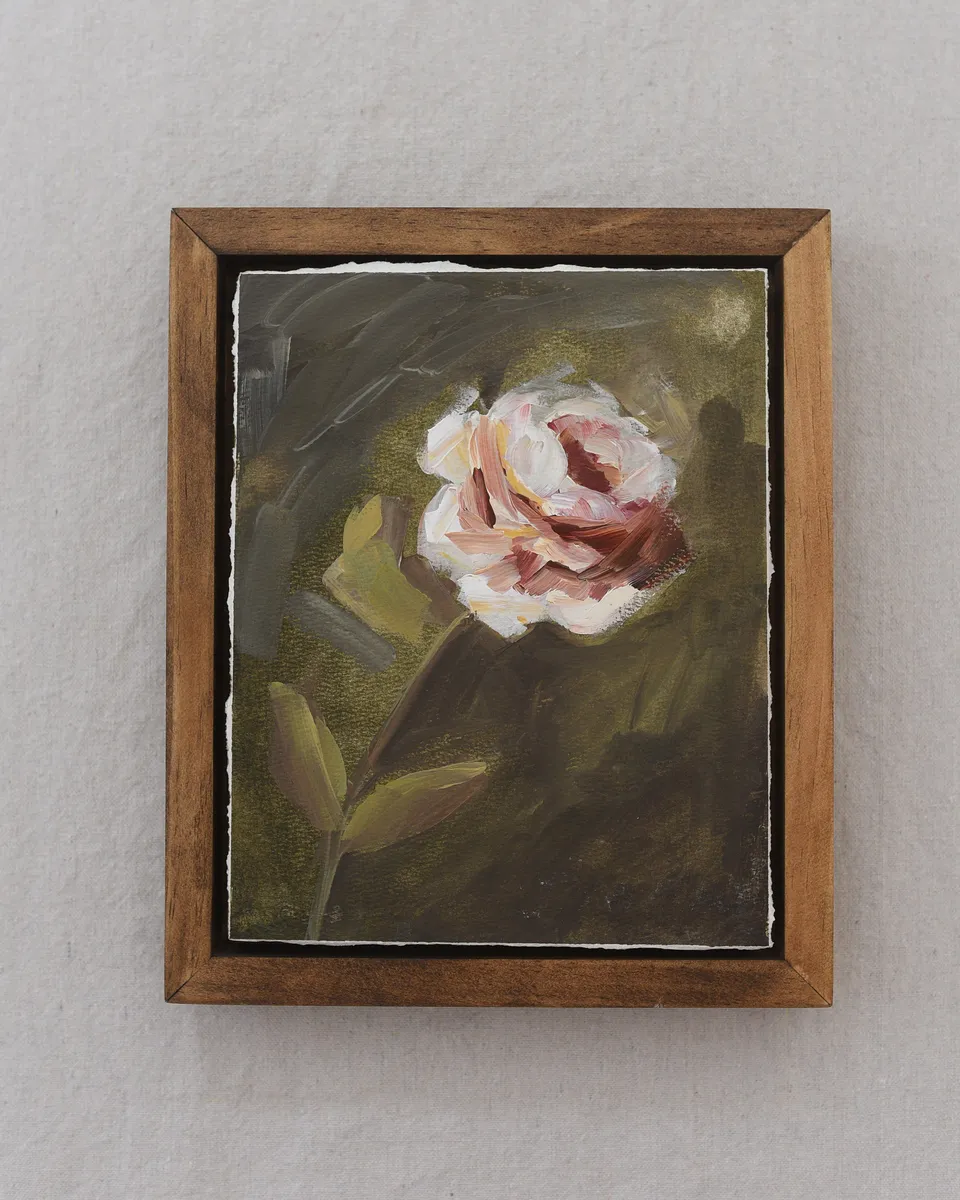 A delicate white and pink flower stands against a deep green background, bathed in timeless light and shadow.