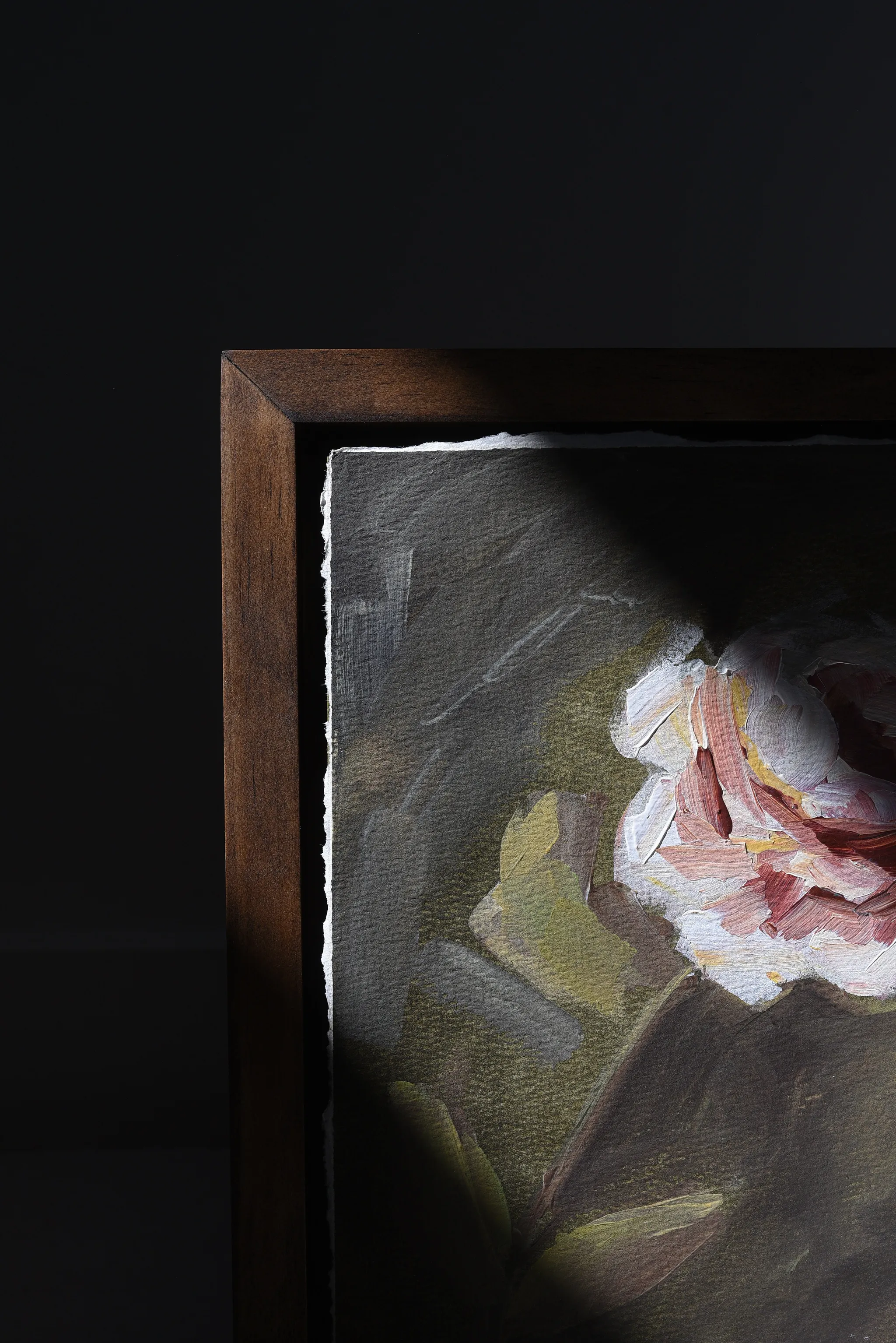 Heritage Bloom, view 2 of 4: A delicate white and pink flower stands against a deep green background, bathed in timeless light and shadow.