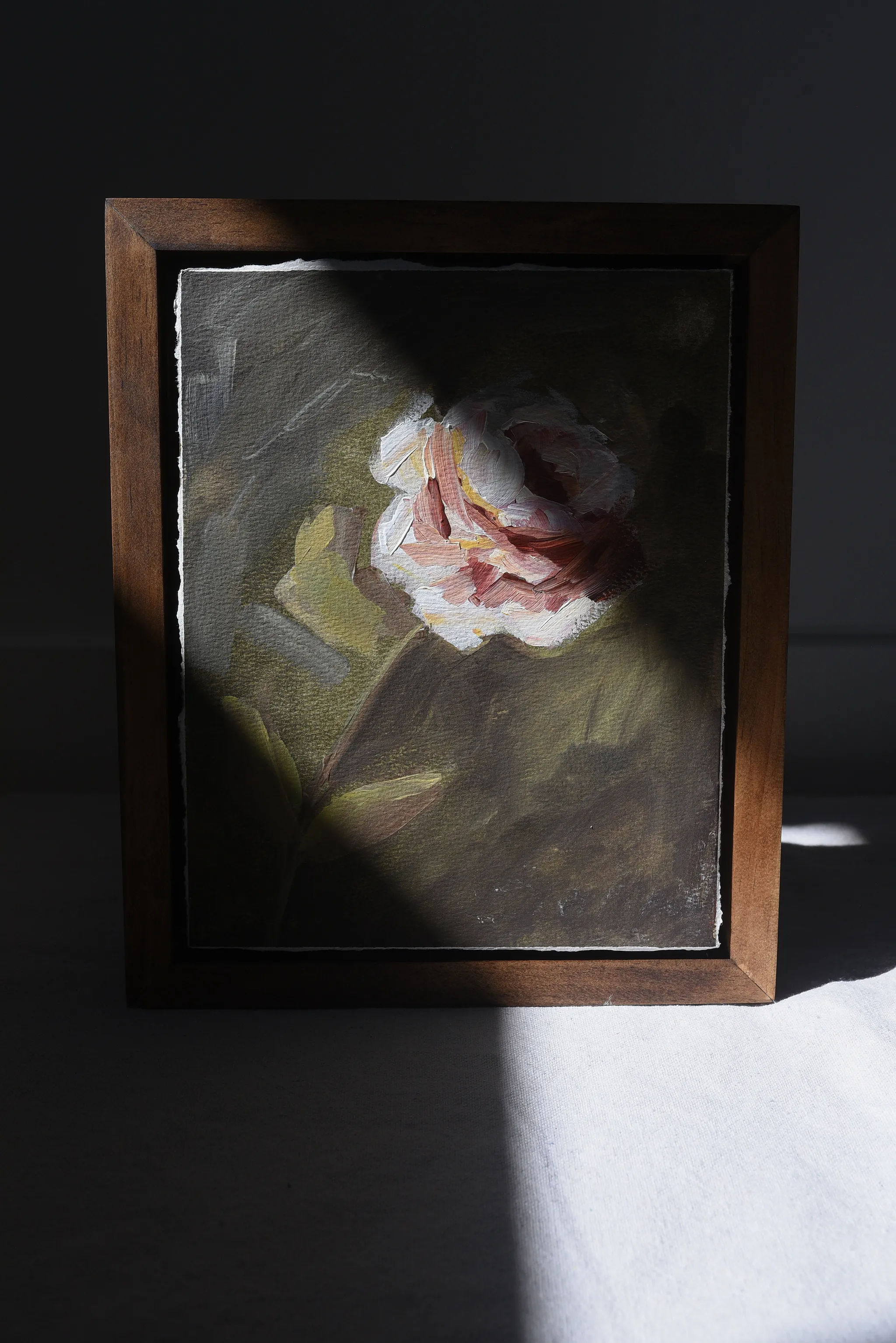 Heritage Bloom, view 3 of 4: A delicate white and pink flower stands against a deep green background, bathed in timeless light and shadow.