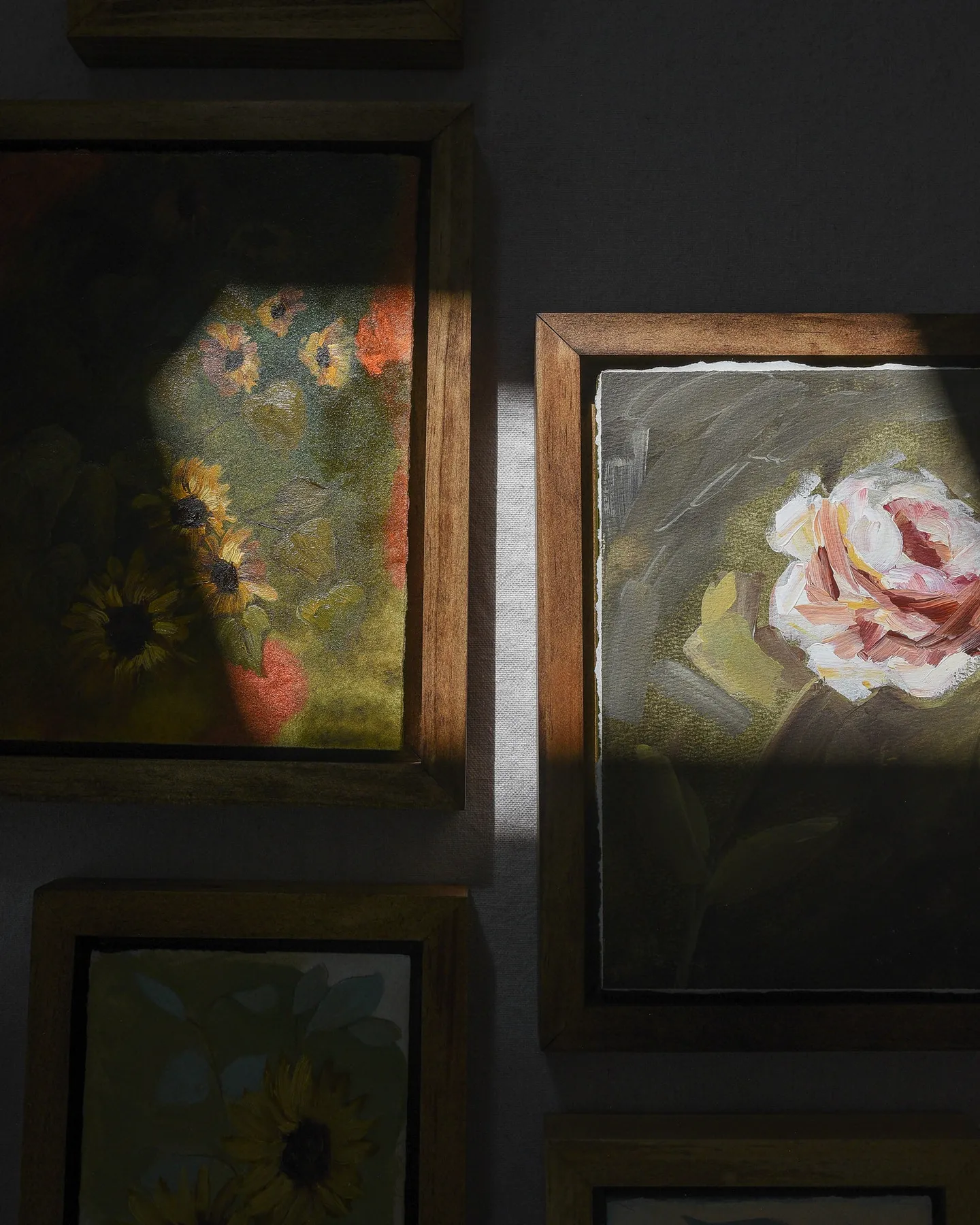Heritage Bloom, view 4 of 4: A delicate white and pink flower stands against a deep green background, bathed in timeless light and shadow.