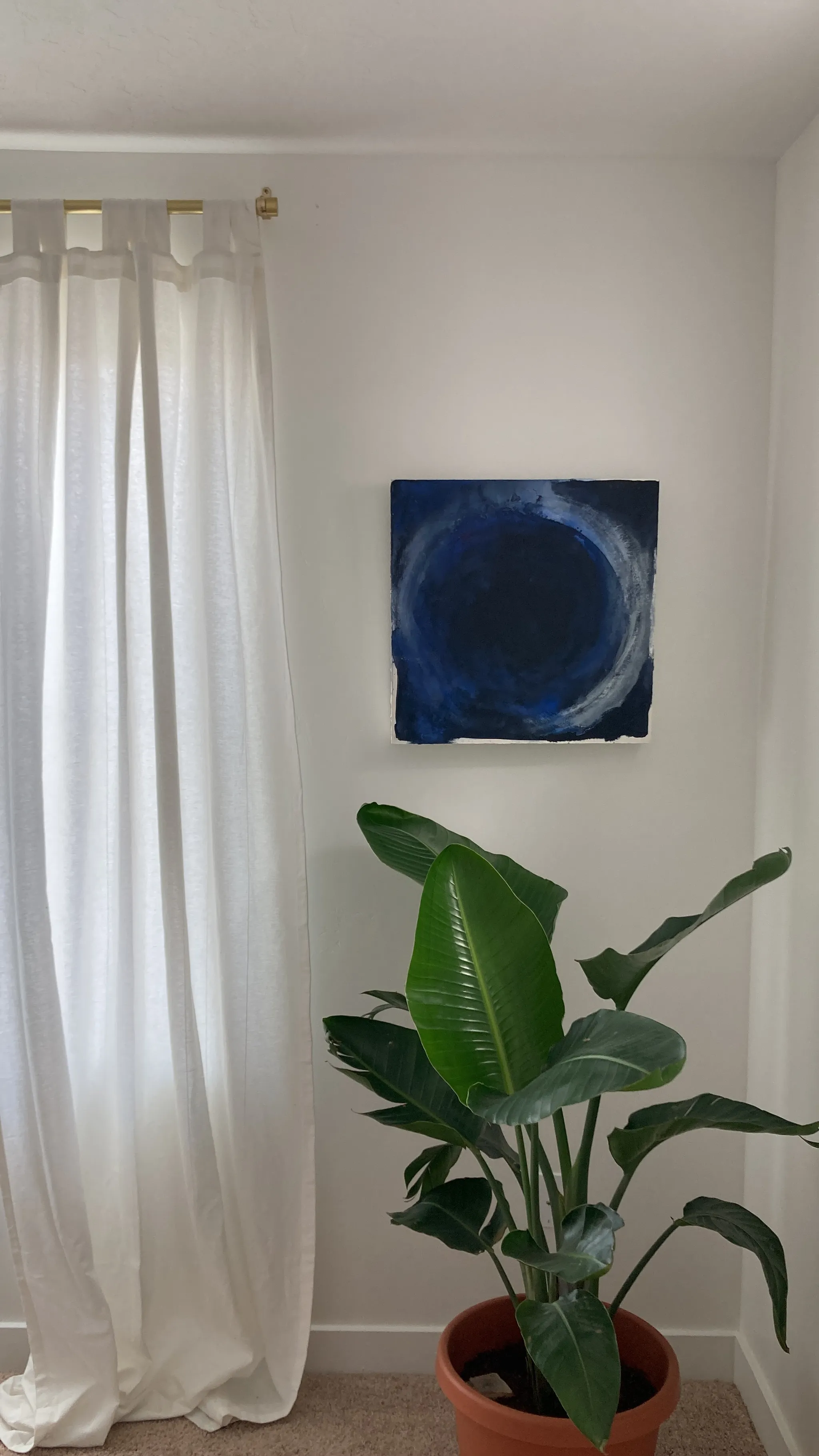 Overcome hanging on a white wall beside a sheer white curtain, above a potted bird of paradise.