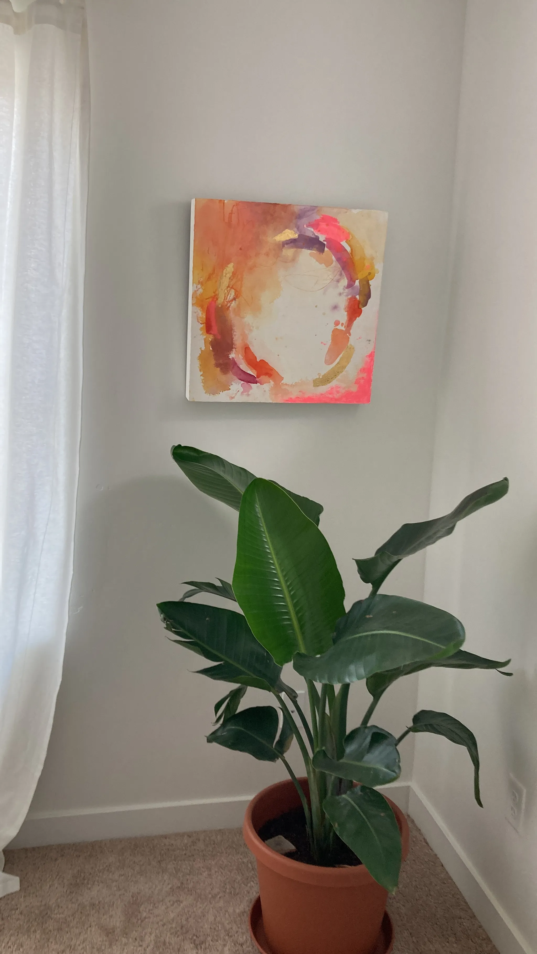 Play hanging on a white wall beside a sheer white curtain, above a potted bird of paradise.