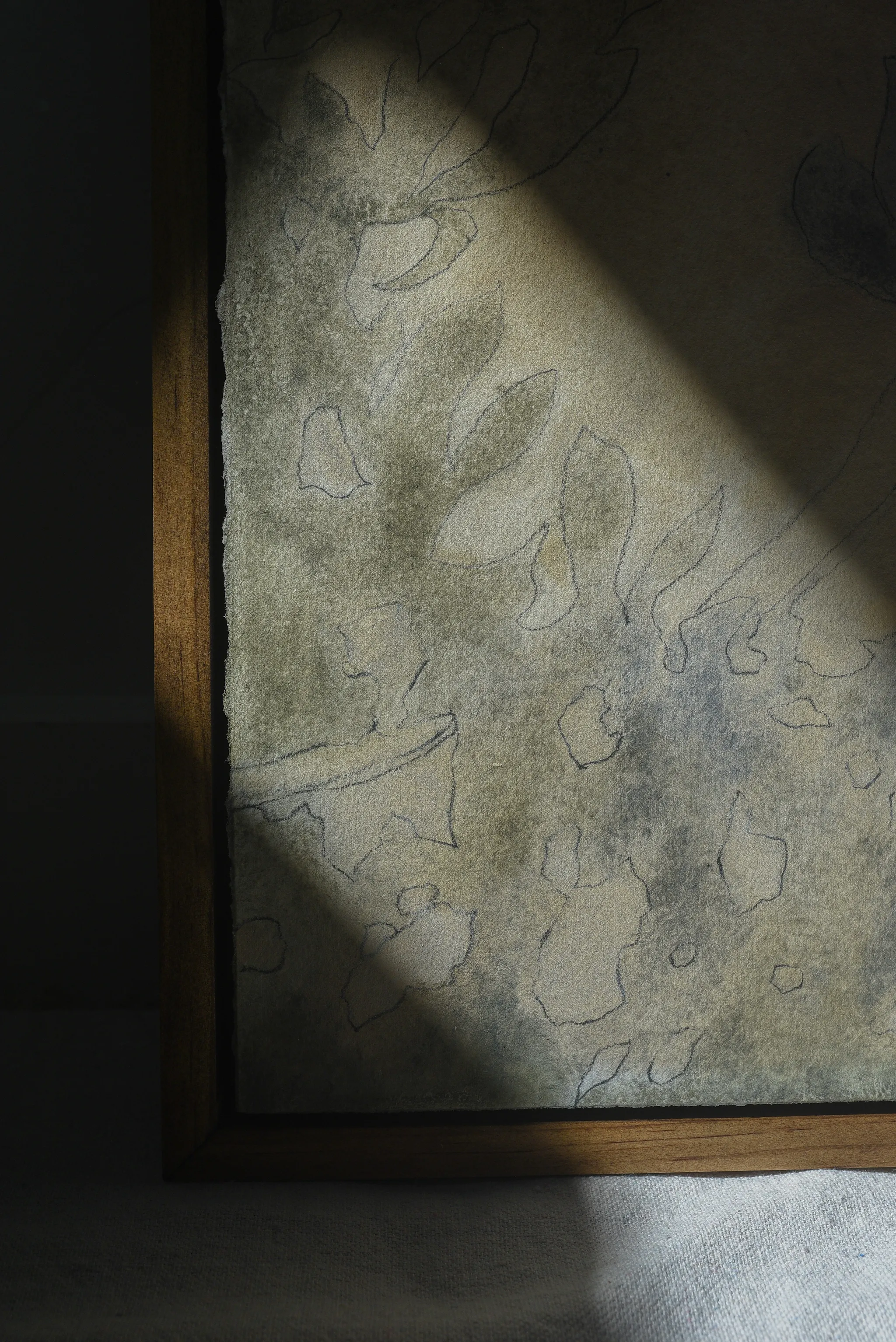 Shapes of Shadows, view 15 of 15.