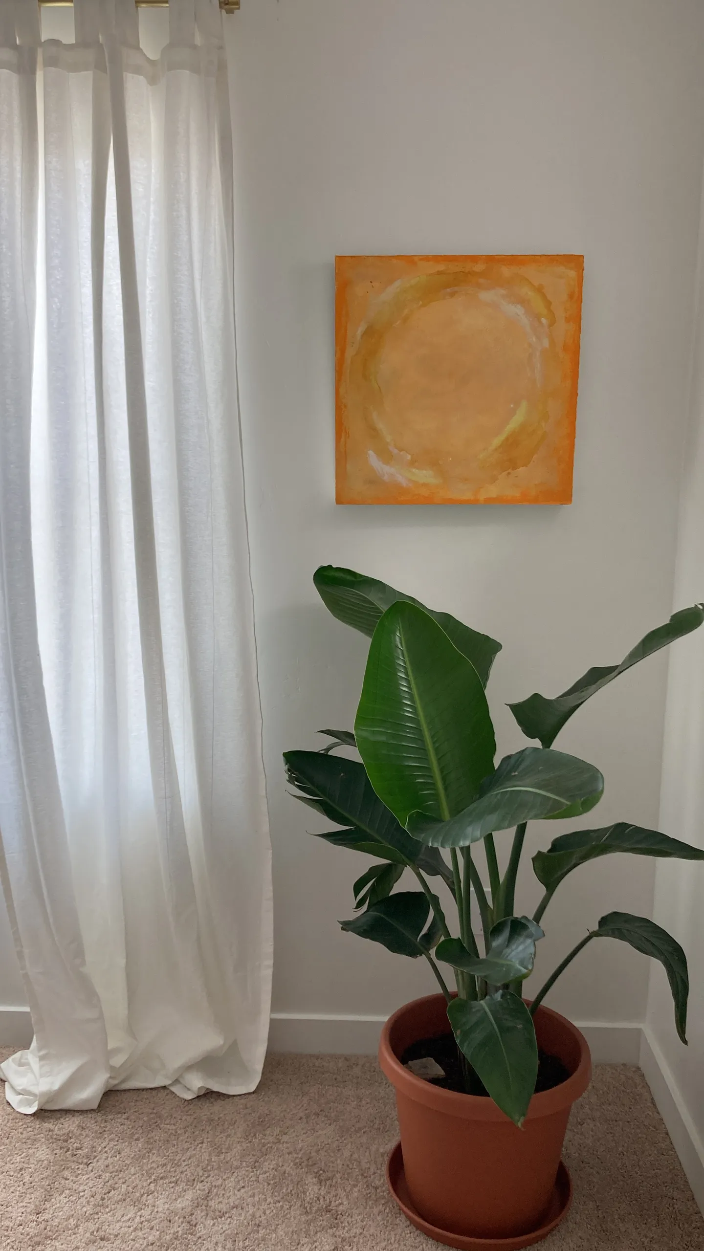 Unity hanging on a white wall beside a sheer white curtain, above a potted bird of paradise.